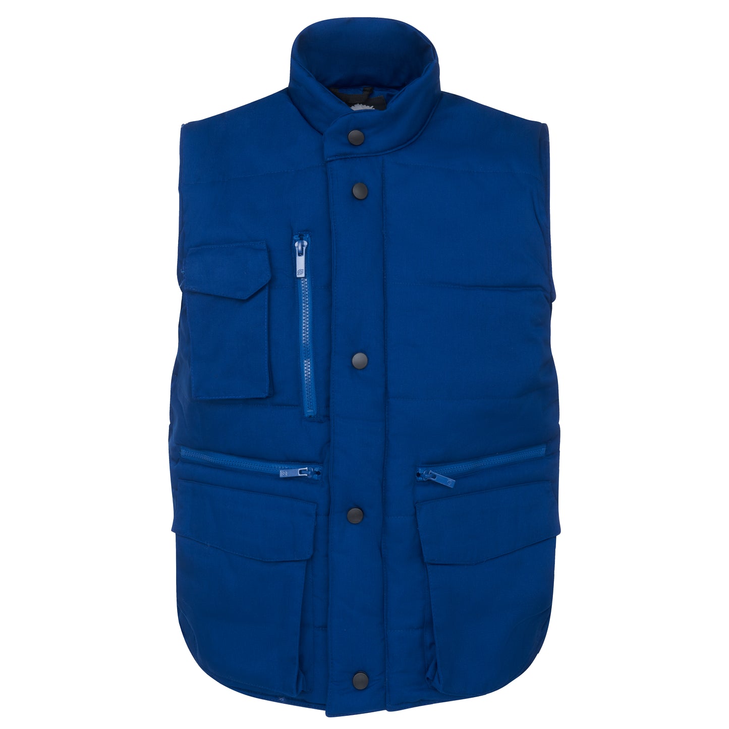 Premium Body Warmer - Royal Blue