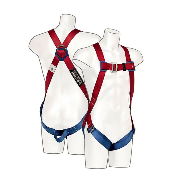 1 Point Harness One Size