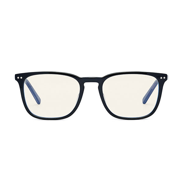 Bolle Wellington Unisex ProBlu Glasses