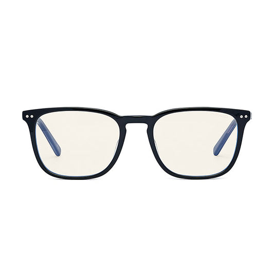 Bolle Wellington Unisex ProBlu Glasses